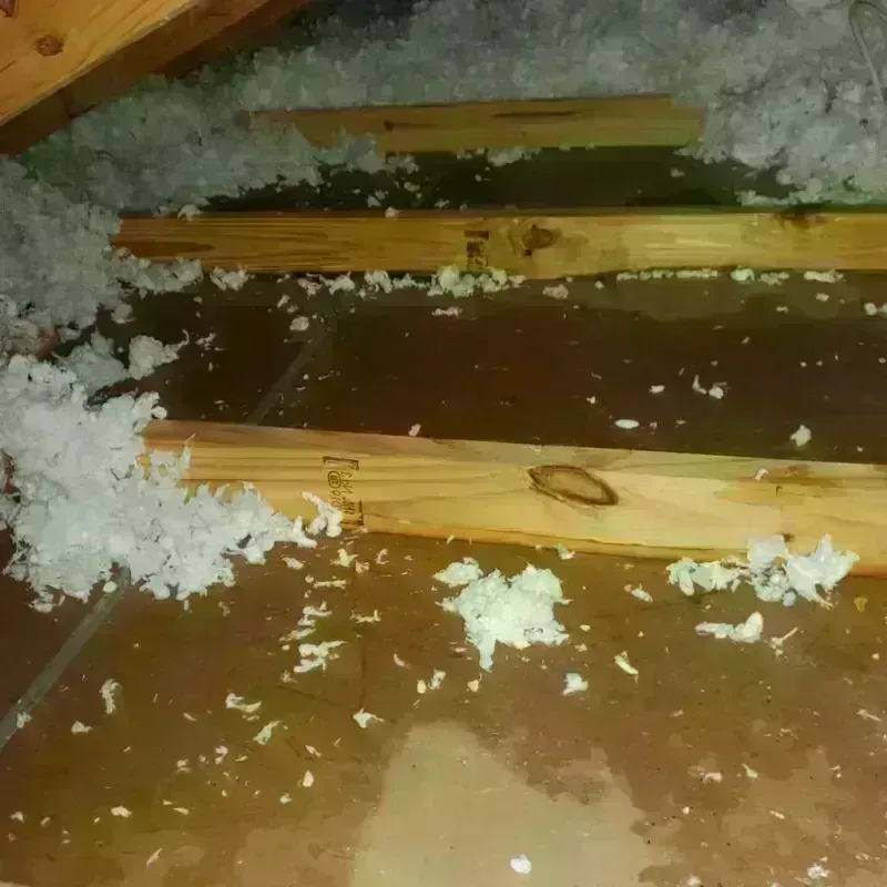 Attic Water Damage in Baldwyn, MS